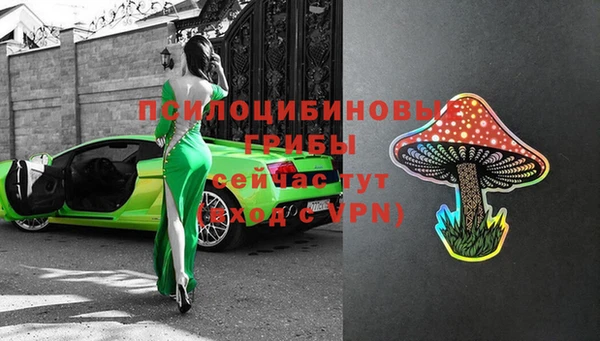 ALPHA PVP Долгопрудный