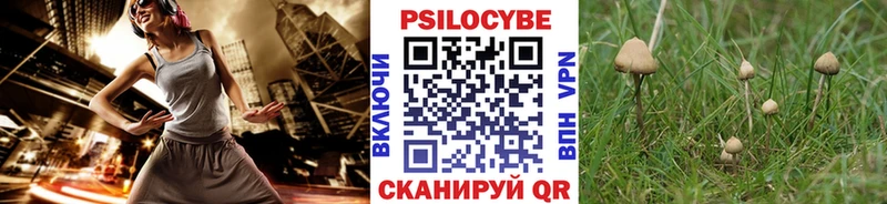 Псилоцибиновые грибы прущие грибы  наркошоп  Тобольск 