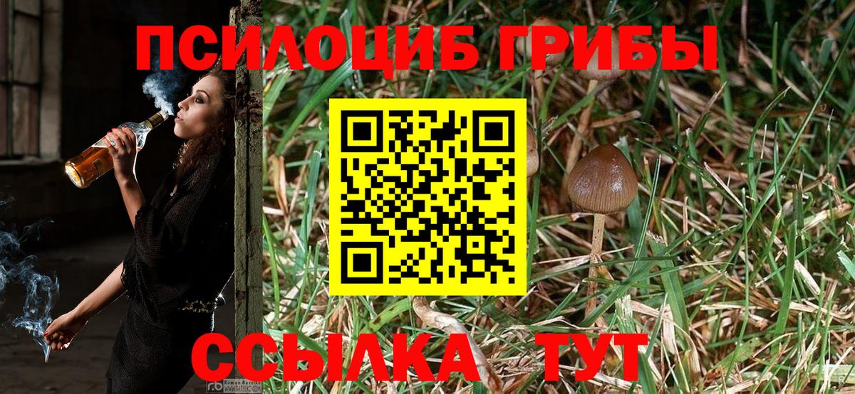 Галлюциногенные грибы Psilocybe  Псилоцибиновые грибы Magic Shrooms  Вход с VPN  Тобольск 