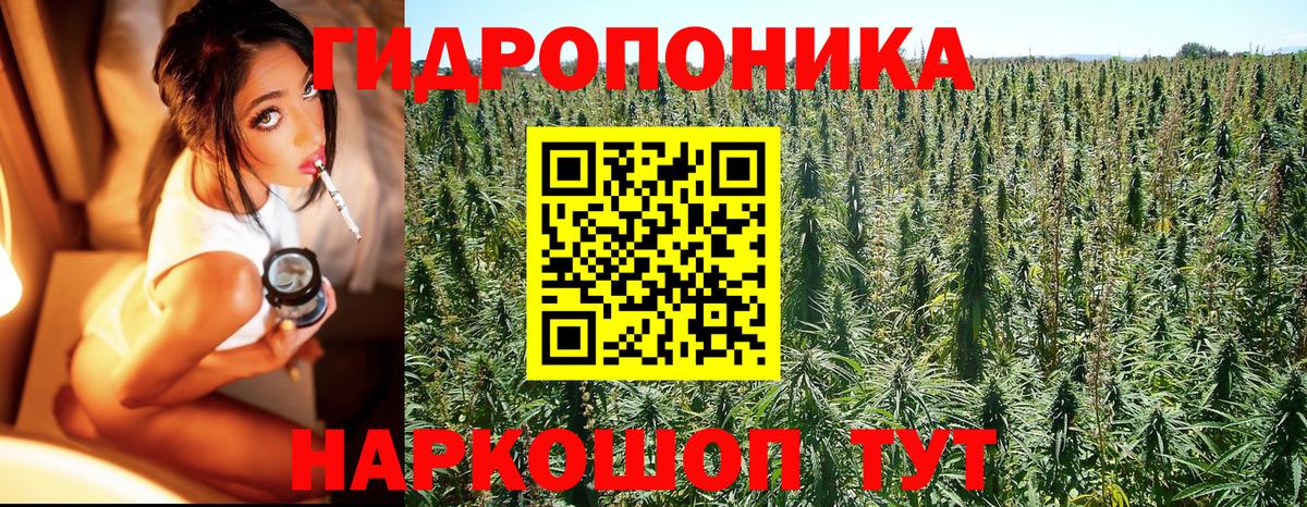 Бошки марихуана ГИДРОПОН  Тобольск  МАРИХУАНА SATIVA & INDICA  Бошки марихуана OG Kush  Марихуана AK-47 
